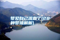 梦见自己流血了(28种梦境解析)