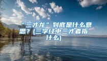 “三才龙”到底是什么意思？(三字经中三才者指什么)