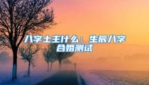 八字土主什么：生辰八字合婚测试