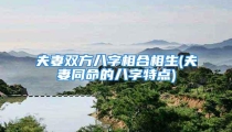 夫妻双方八字相合相生(夫妻同命的八字特点)