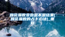 梅花易数变卦是不是结果(梅花易数的占卜心法)_重复