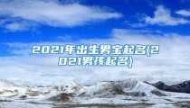 2021年出生男宝起名(2021男孩起名)