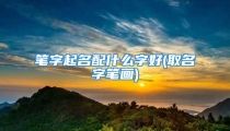 笔字起名配什么字好(取名字笔画)