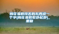 梅花易数找丢的东西说一个字(梅花易数取卦起卦)_重复