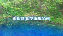 面相女(相学面相全解)
