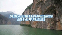属鸡人出生日的命运(属鸡是什么年月出生)