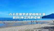 六爻容易学还是和梅花易数好(怀念我的老师)