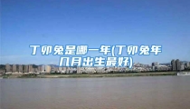 丁卯兔是哪一年(丁卯兔年几月出生最好)