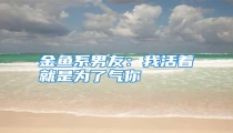 金鱼系男友：我活着就是为了气你