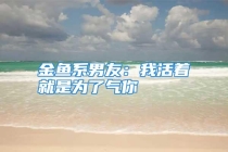 金鱼系男友：我活着就是为了气你