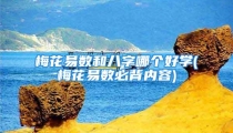 梅花易数和八字哪个好学(梅花易数必背内容)
