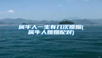 属牛人一生有几次婚姻(属牛人婚姻配对)