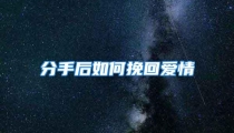 分手后如何挽回爱情