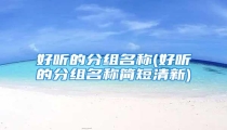好听的分组名称(好听的分组名称简短清新)