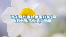 梅花易数蛊卦类象详解(易经传承提高课)_重复