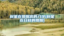 财星在婚姻宫的八字(财星在日柱的婚姻)