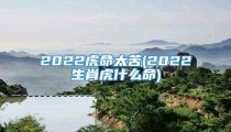2022虎命太苦(2022生肖虎什么命)