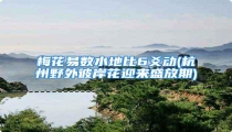 梅花易数水地比6爻动(杭州野外彼岸花迎来盛放期)