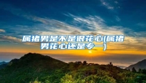 属猪男是不是很花心(属猪男花心还是专一)
