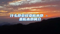 什么命会旺桑柘木命 - 桑柘木命简介