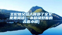 王妃她又给人算卦了全文免费阅读(一本超级好看的古言小说)