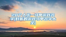 20个人统一马甲游戏名字(好听的游戏马甲名字大全)