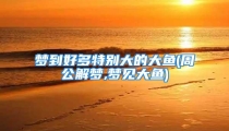 梦到好多特别大的大鱼(周公解梦,梦见大鱼)