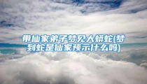 带仙家弟子梦见大蟒蛇(梦到蛇是仙家预示什么吗)