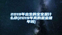 2019年出生的宝宝是什么命(2019年真的是金猪年吗)