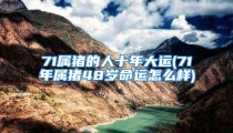 71属猪的人十年大运(71年属猪48岁命运怎么样)