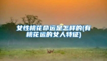 女性桃花命运是怎样的(有桃花运的女人特征)