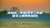 冲组词二年级(小学二年级语文上册所有组词)