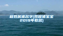 程姓属猪名字(姓程猪宝宝2019年取名)