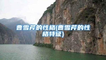 曹雪芹的性格(曹雪芹的性格特征)