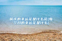 属虎的幸运花是什么花(每个月的幸运花是什么)