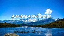 大林木和大海水的婚姻_重复