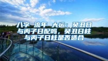 八字 流年 大运:癸丑日与丙子日配吗,癸丑日柱与丙子日柱是否适合