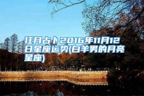 狂月占卜2016年11月12日星座运势(白羊男的月亮星座)