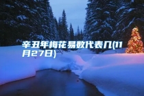 辛丑年梅花易数代表几(11月27日)