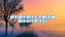 满手细纹是什么手相(手相细纹多代表什么)