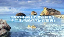 1966年属什么生肖属相(十二生肖属相年份对照表)