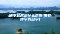 博字起名是什么意思(带有博字的名字)