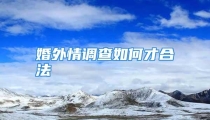 婚外情调查如何才合法