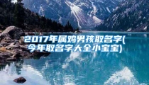 2017年属鸡男孩取名字(今年取名字大全小宝宝)