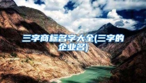三字商标名字大全(三字的企业名)