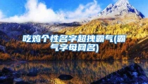 吃鸡个性名字超拽霸气(霸气字母网名)