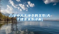 八字中天干地支的关系(天干地支关系详解)