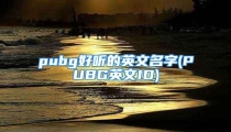 pubg好听的英文名字(PUBG英文ID)