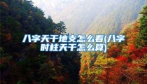 八字天干地支怎么看(八字时柱天干怎么算)