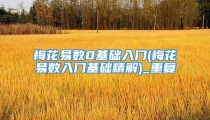 梅花易数0基础入门(梅花易数入门基础精解)_重复